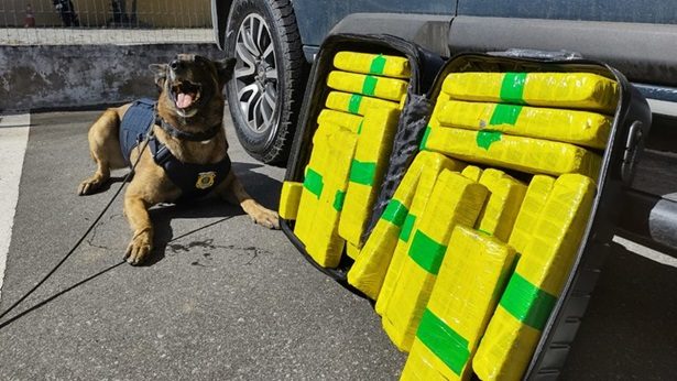 Mais de 20 Kg de maconha são apreendidos em ônibus na cidade de Vitória da Conquista - vitoria-da-conquista