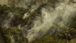 Rondônia declara situação de emergência por incêndios florestais - brasil