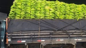 F-4000 carregada de bananas  é retida em Santo Antônio de Jesus - saj, destaque