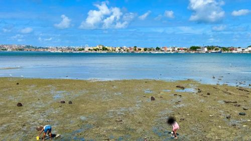 Unidade de beneficiamento de pescado entregue pelo Governo da Bahia no bairro de Plataforma, em Salvador