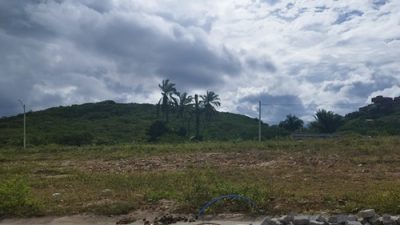 Terreno baldio com vegetação e área sem construção