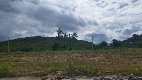 Terreno baldio com vegetação e área sem construção