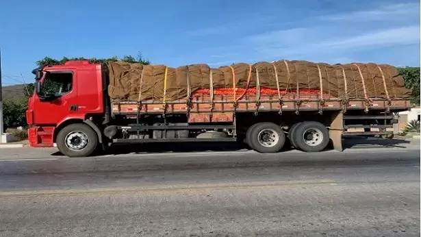 Seabra: Caminhão com 15 toneladas de cebola sem nota fiscal é apreendido - seabra