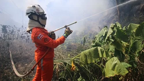 Bombeiros controlam focos de fogo em Bom Jesus da Lapa, Guanambi, Juazeiro e Lençóis - bom-jesus-da-lapa, bahia