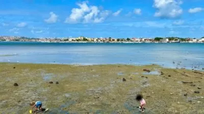Unidade de beneficiamento de pescado entregue pelo Governo da Bahia no bairro de Plataforma, em Salvador