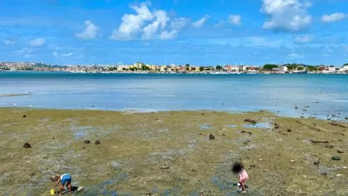 Unidade de beneficiamento de pescado entregue pelo Governo da Bahia no bairro de Plataforma, em Salvador