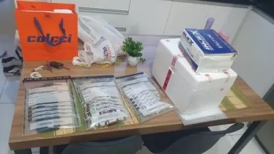 Canetas emagrecedoras apreendidas pela Polícia Civil durante operação em Barreiras, na Bahia