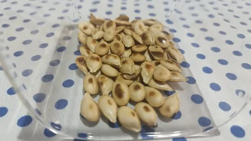 Sementes de abóbora torradas